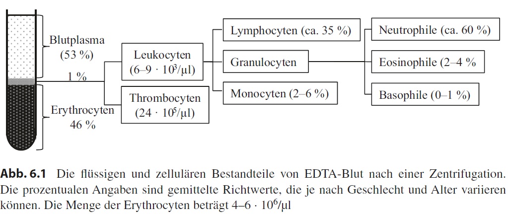 Elsässer Abb. 6.1